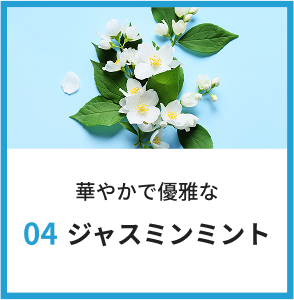 華やかで優雅なジャスミンミント